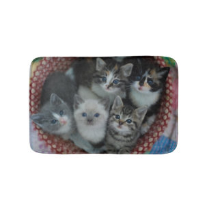 Kittens in een mandje badmat