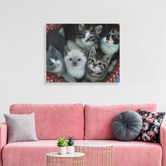 Kittens in een mandje canvas afdruk (Insitu (Woonkamer))
