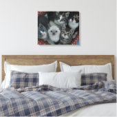 Kittens in een mandje canvas afdruk (Insitu (Slaapkamer))
