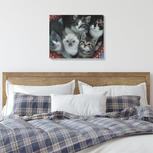 Kittens in een mandje canvas afdruk (Insitu (Slaapkamer))