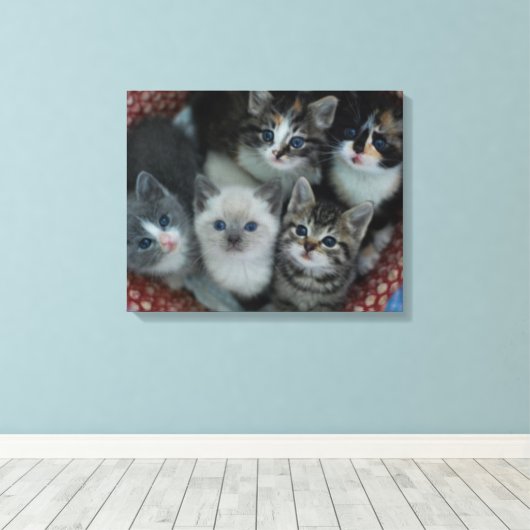 Kittens in een mandje canvas afdruk (Insitu (Houten vloer))