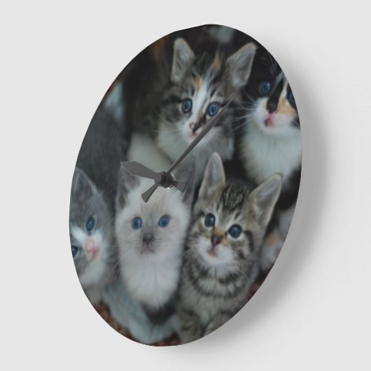 Kittens in een mandje grote klok (Hoek)