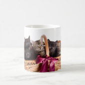 kittens in een mandje koffiemok (Center)