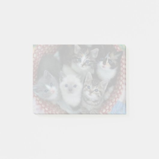 Kittens in een mandje post-it® notes (Voorkant)