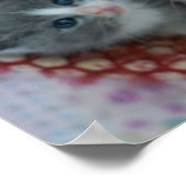 Kittens in een mandje poster (Hoek)