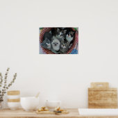 Kittens in een mandje poster (Keuken)