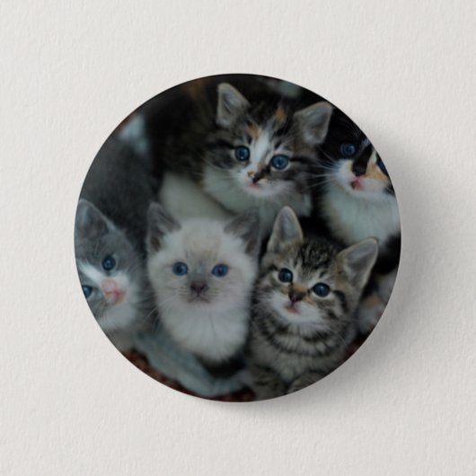 Kittens in een mandje ronde button 5,7 cm (Voorkant)