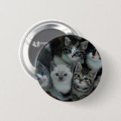 Kittens in een mandje ronde button 5,7 cm (Voorkant /achterkant)