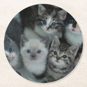 Kittens in een mandje ronde kartonnen onderzetter