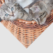 Kittens in een mandje tissue papier (Detail)