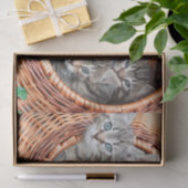 Kittens in een mandje tissue papier (Geschenk)