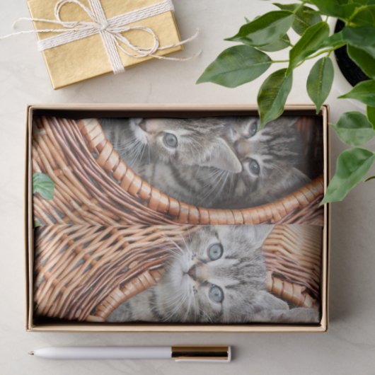 Kittens in een mandje tissue papier (Geschenk)