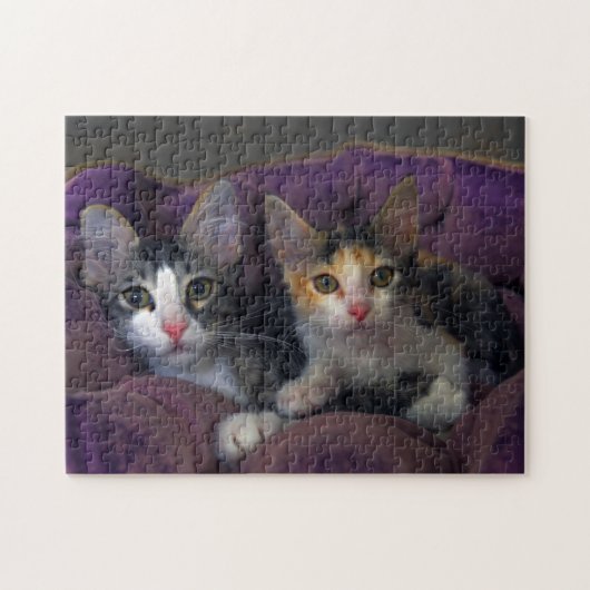 Kittens in een Paars bed Legpuzzel (Horizontaal)