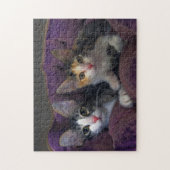 Kittens in een Paars bed Legpuzzel (Verticaal)