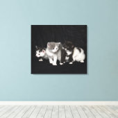 Kittens in een Studio Shot Canvas Afdruk (Insitu (Houten vloer))