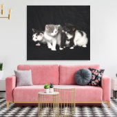 Kittens in een Studio Shot Canvas Afdruk (Insitu (Woonkamer))