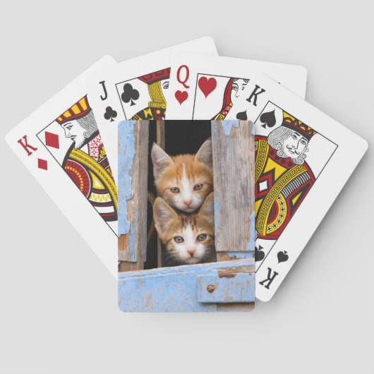 Kittens in een venster afspelen speelkaarten (Achterkant)