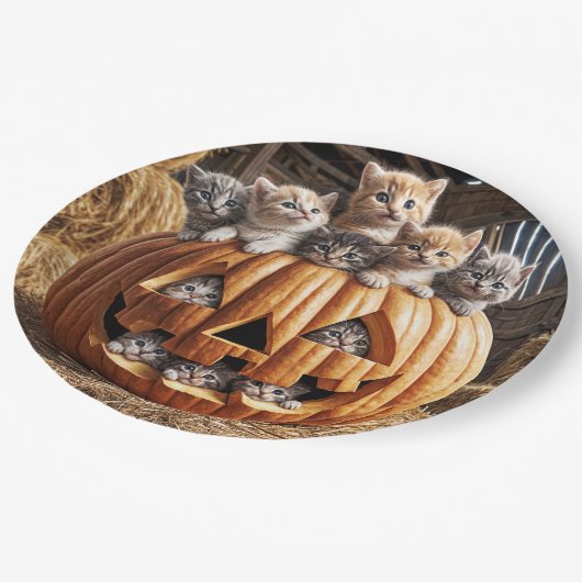 Kittens in Halloween pompoen Papieren Bordje (Gekanteld)