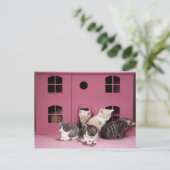 Kittens in het huis van de pop briefkaart (Staand voorkant)