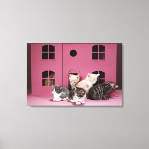 Kittens in het huis van de pop canvas afdruk