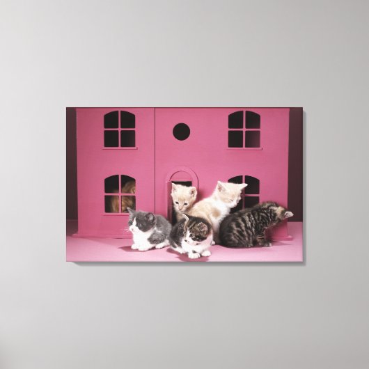 Kittens in het huis van de pop canvas afdruk (Voorkant)