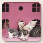 Kittens in het huis van de pop drankjes onderzetter (Voorkant)