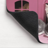 Kittens in het huis van de pop muismat (Hoek)