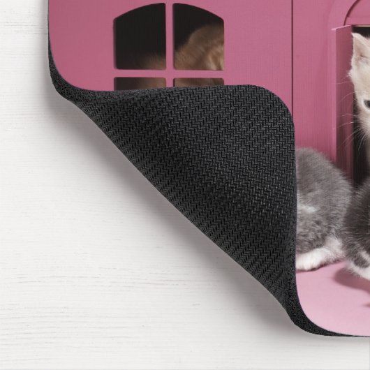 Kittens in het huis van de pop muismat (Hoek)