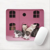 Kittens in het huis van de pop muismat (Met muis)