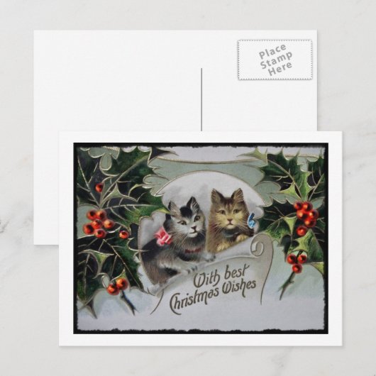 Kittens in Holly Kerstmis Feestdagenkaart (Voorkant / Achterkant)