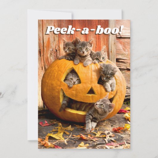 Kittens in Jack-o-Lantern Kaart (Voorkant)