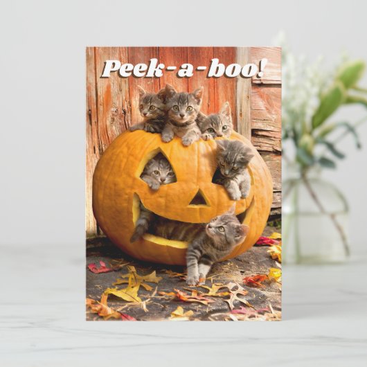 Kittens in Jack-o-Lantern Kaart (Staand voorkant)