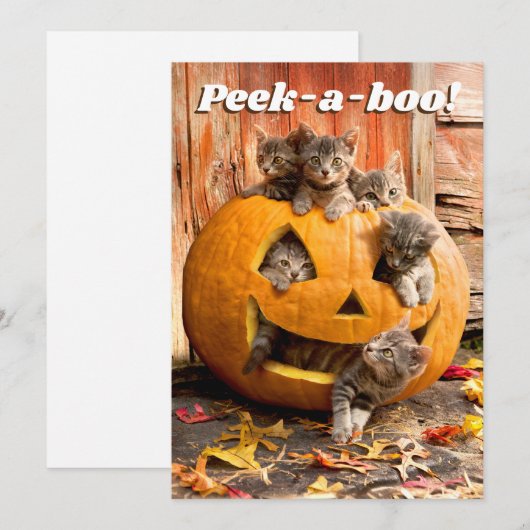 Kittens in Jack-o-Lantern Kaart (Voorkant / Achterkant)