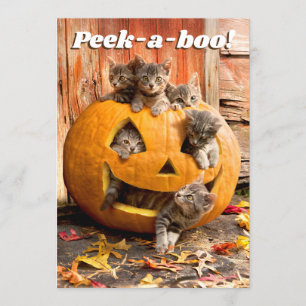 Kittens in Jack-o-Lantern Kaart