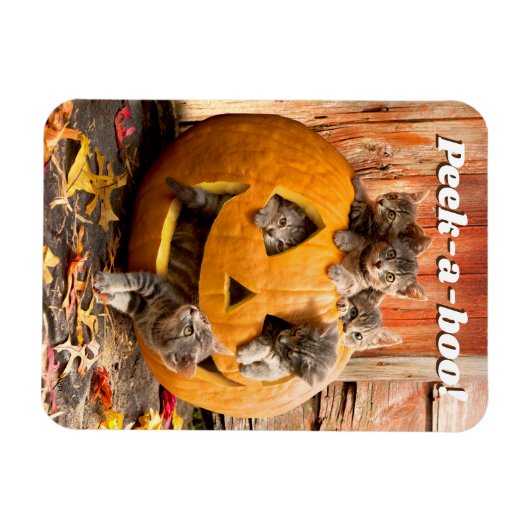 Kittens in Jack-o-Lantern Magneet (Horizontaal)