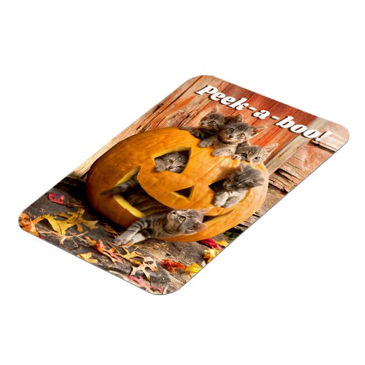 Kittens in Jack-o-Lantern Magneet (Linkerzijde)