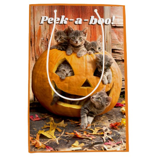 Kittens in Jack-o-Lantern Medium Cadeauzakje (Voorkant)