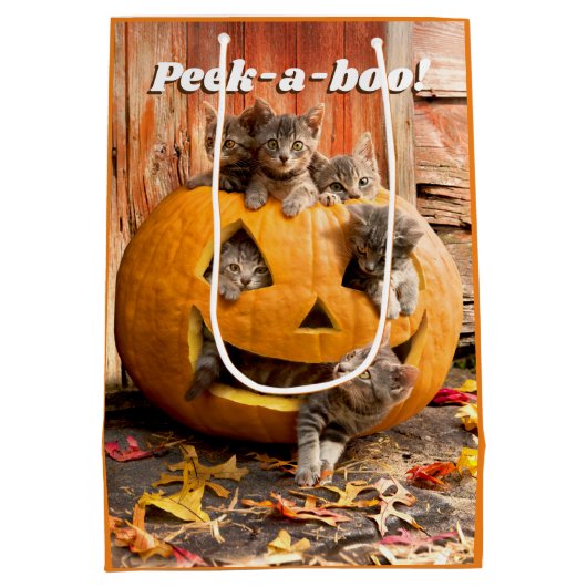 Kittens in Jack-o-Lantern Medium Cadeauzakje (Achterkant)
