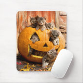 Kittens in Jack-o-Lantern Muismat (Met muis)