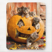 Kittens in Jack-o-Lantern Muismat (Voorkant)