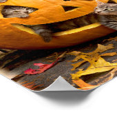 Kittens in Jack-o-Lantern Poster (Hoek)