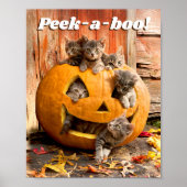 Kittens in Jack-o-Lantern Poster (Voorkant)