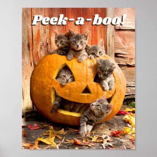 Kittens in Jack-o-Lantern Poster (Voorkant)