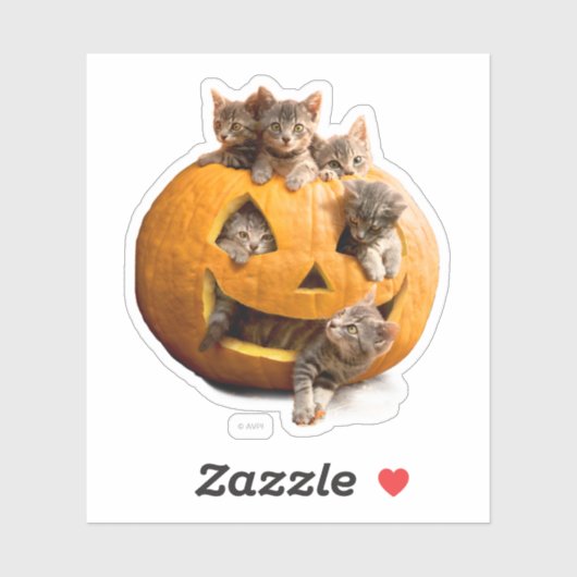 Kittens in Jack-o-Lantern Sticker (Vel)