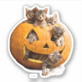 Kittens in Jack-o-Lantern Sticker (Voorkant)