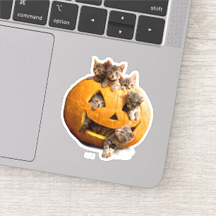 Kittens in Jack-o-Lantern Sticker