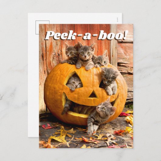 Kittens in Jack-o-Lantern Uitnodiging Briefkaart (Voorkant / Achterkant)