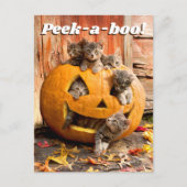 Kittens in Jack-o-Lantern Uitnodiging Briefkaart (Voorkant)
