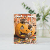 Kittens in Jack-o-Lantern Uitnodiging Briefkaart (Staand voorkant)