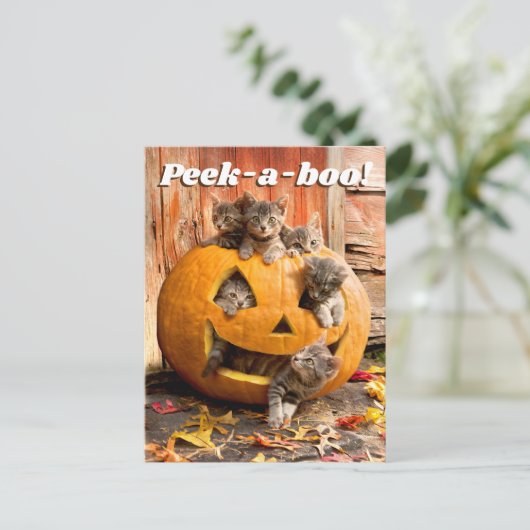 Kittens in Jack-o-Lantern Uitnodiging Briefkaart (Staand voorkant)